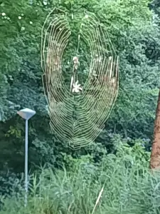 Jacquelien 01 Er wordt al hard gewerkt